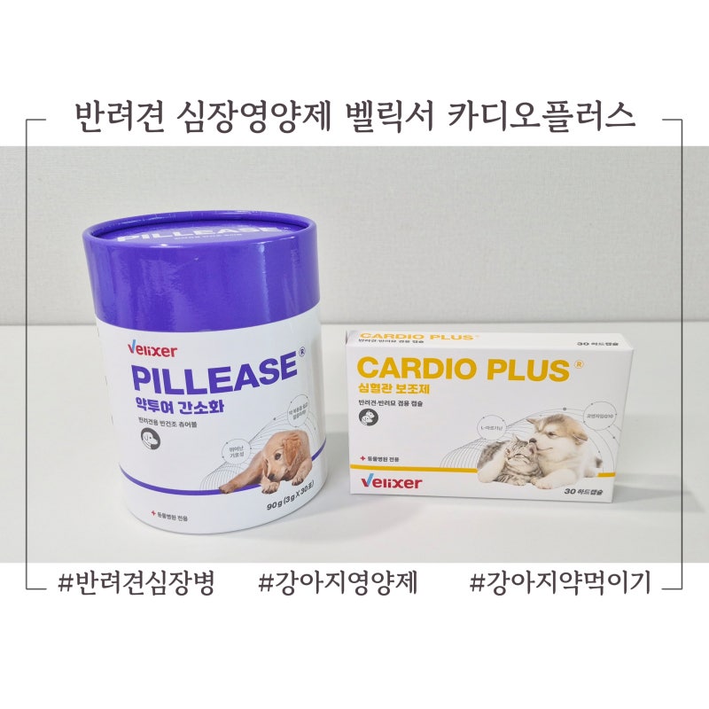 강아지 심장영양제 벨릭서 카디오플러스 심장병 관리 약 먹이는 방법