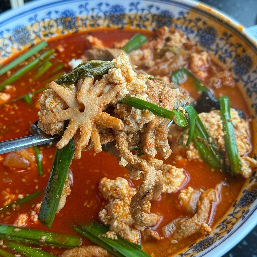백도씨짬뽕순두부 사진 2