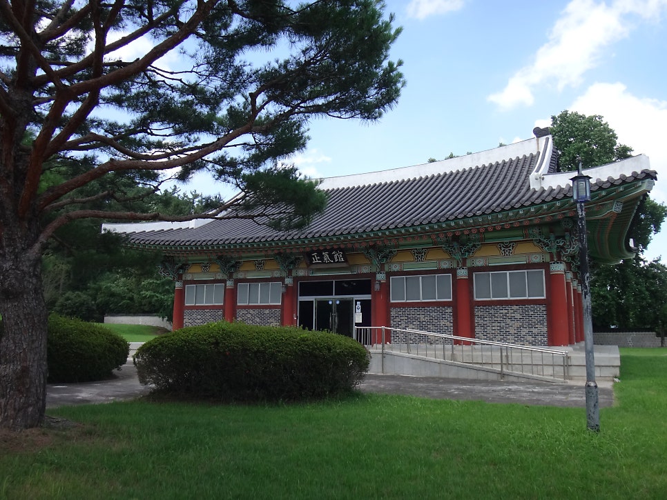 부산갈매기 사진 5
