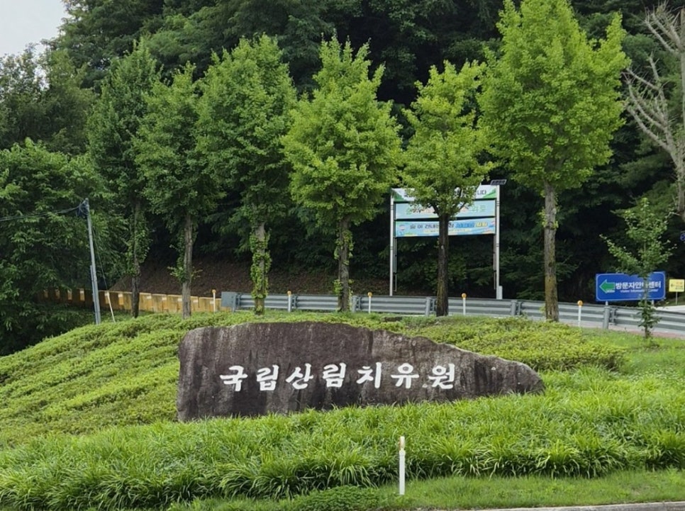 국립산림치유원 사진 3