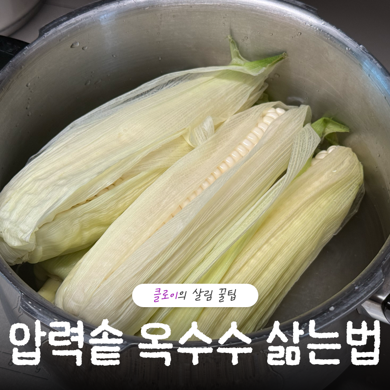 압력솥 옥수수 삶는법 인덕션으로 삶는시간과 물의양까지 총정리