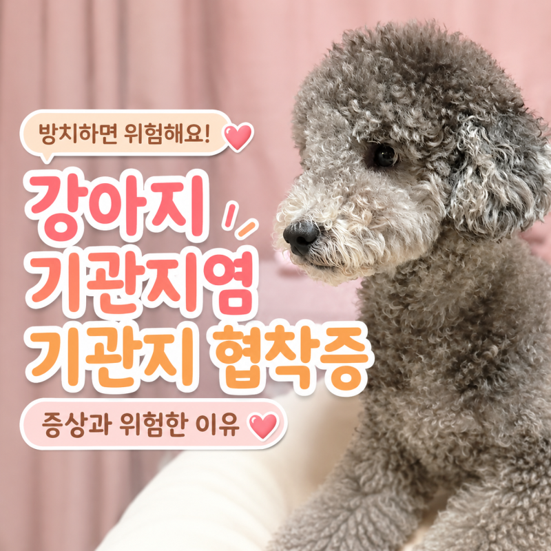 강아지 기관지염 기관지 협착증, 방치하면 위험한 이유