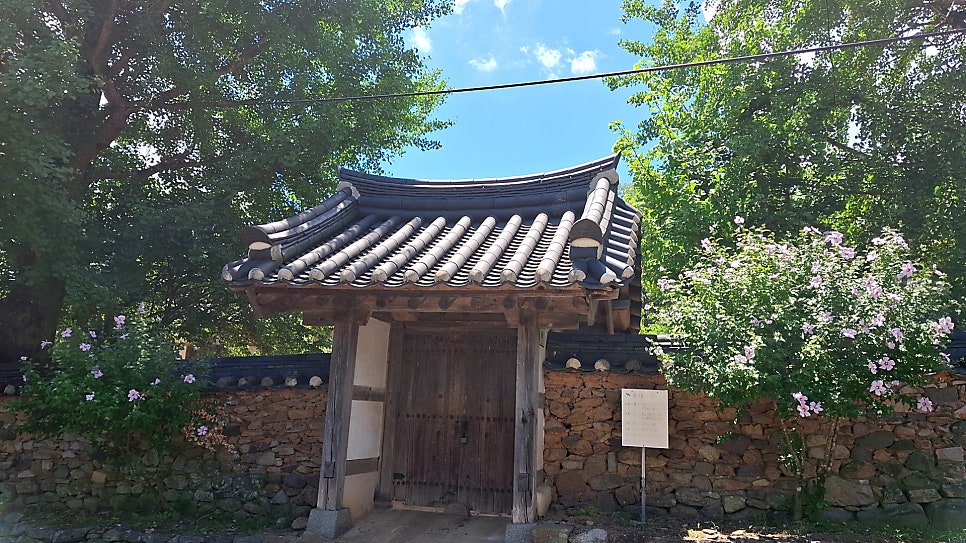 고산 사진 2