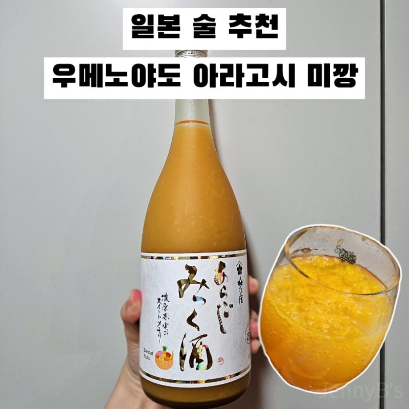 후쿠오카 빅카메라 텐진 2호점 쇼핑리스트 우메노야도 아라고시 미깡 일본 술 추천