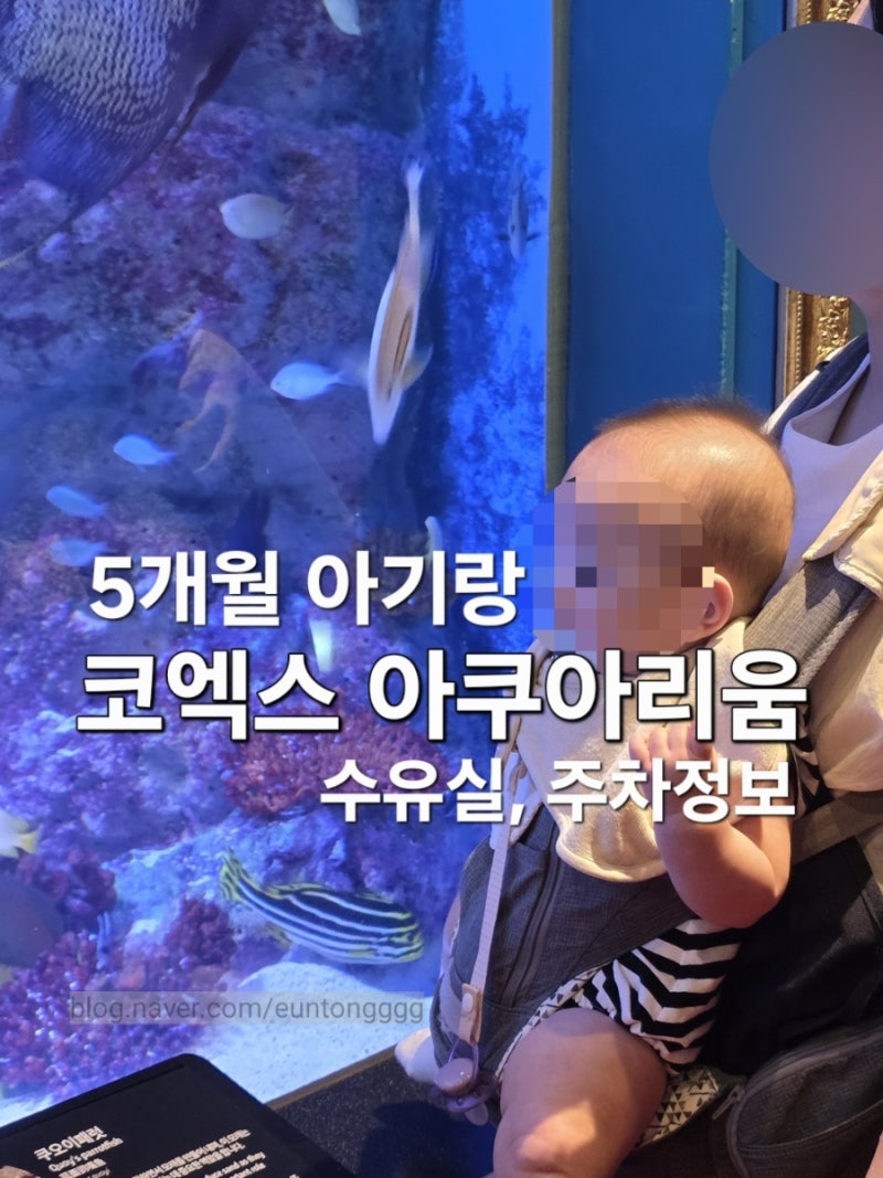 5개월 아기랑 코엑스 아쿠아리움 후기 (수유실,주차정보)