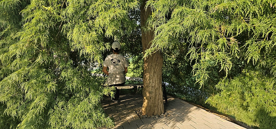 그리너리 사진 4