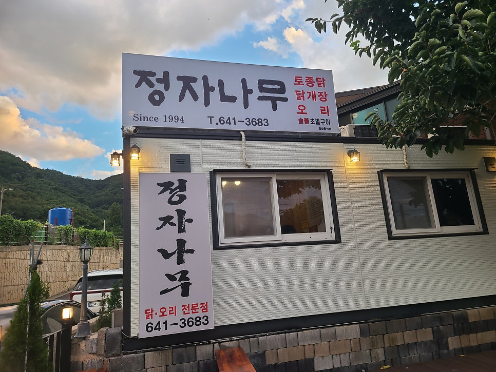 정자나무집 사진 1