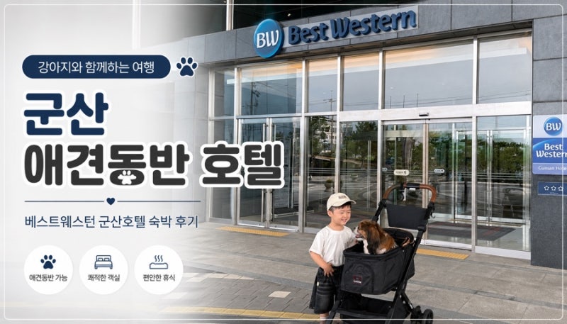 군산 애견동반 숙소 베스트웨스턴 군산 호텔 후기
