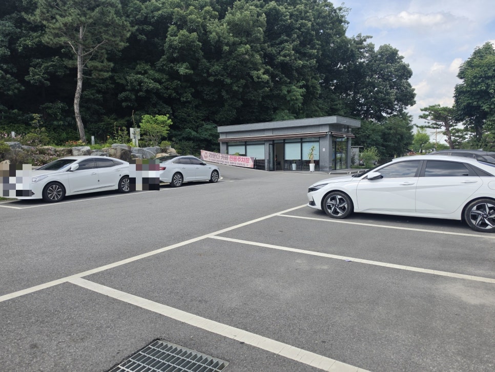 라운디 사진 2