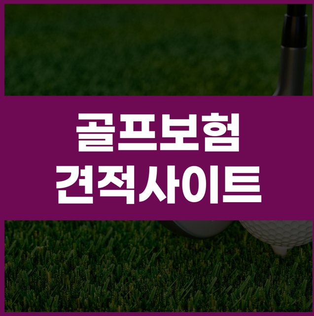 골프보험 홀인원보험 스크린홀인원 보장 범위 알아보기