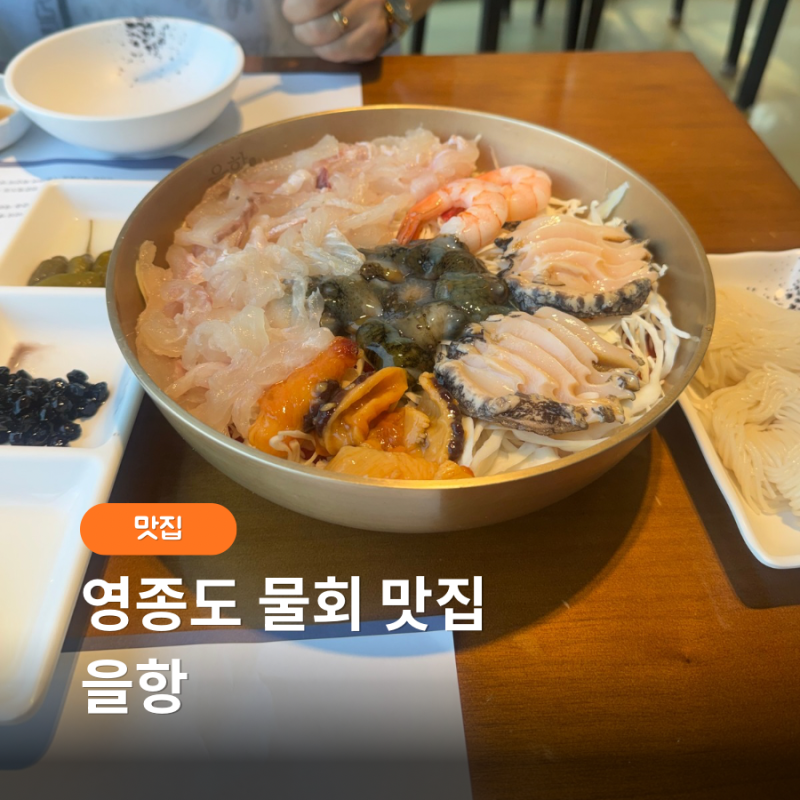 영종도 물회 맛집 을항 | 신선한 해산물과 전망대까지 만족한 후기