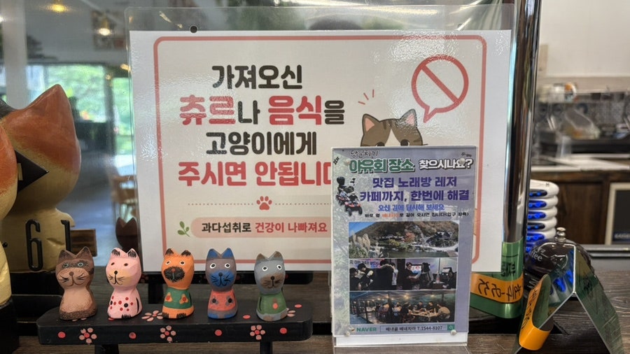 토르첼로 사진 4