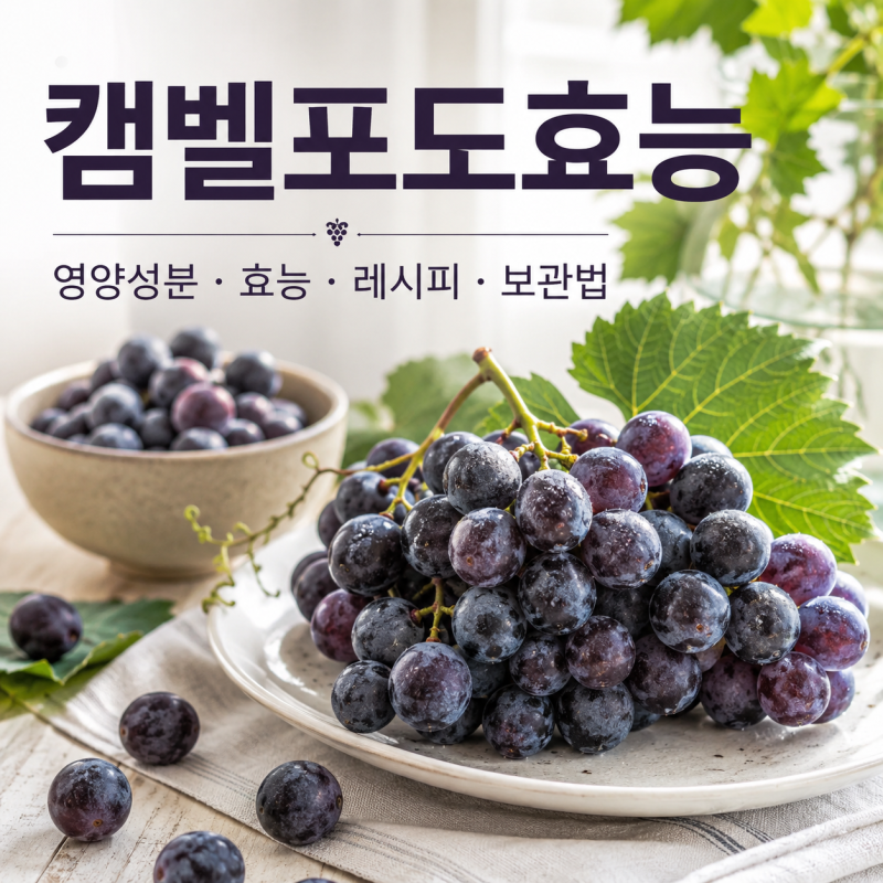 캠벨포도효능 5가지, 껍질째 먹어야 할까? 영양성분과 보관법