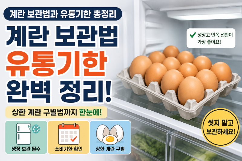 계란 소비기한 언제까지일까? 산란일자와 보관 기간 확인법