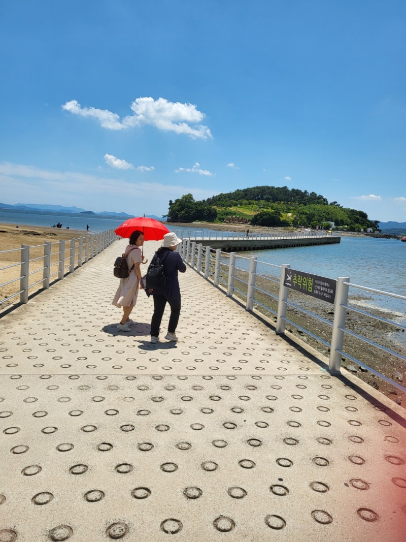 제주도 여행 2박 3일 코스 완벽 가이드, 처음 가는 사람도 만족하는 일정 총정리