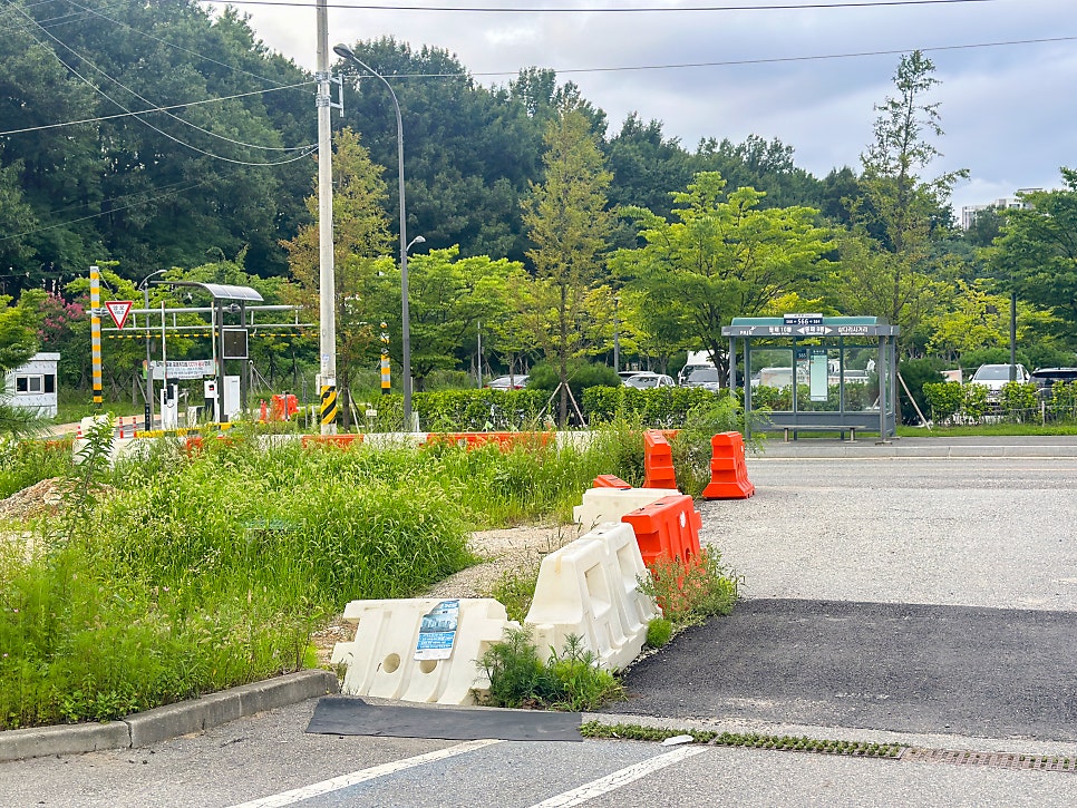천연애 파주심학산점 사진 3