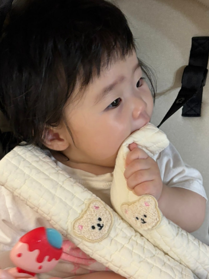 코코아돌 유모차안전바커버 유모차벨트커버 위생도UP 디자인도UP