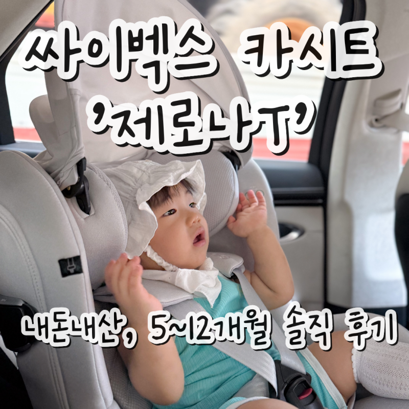 싸이벡스 제로나T 내돈내산 후기 / 5~12개월 실사용 장점 단점 총정리!
