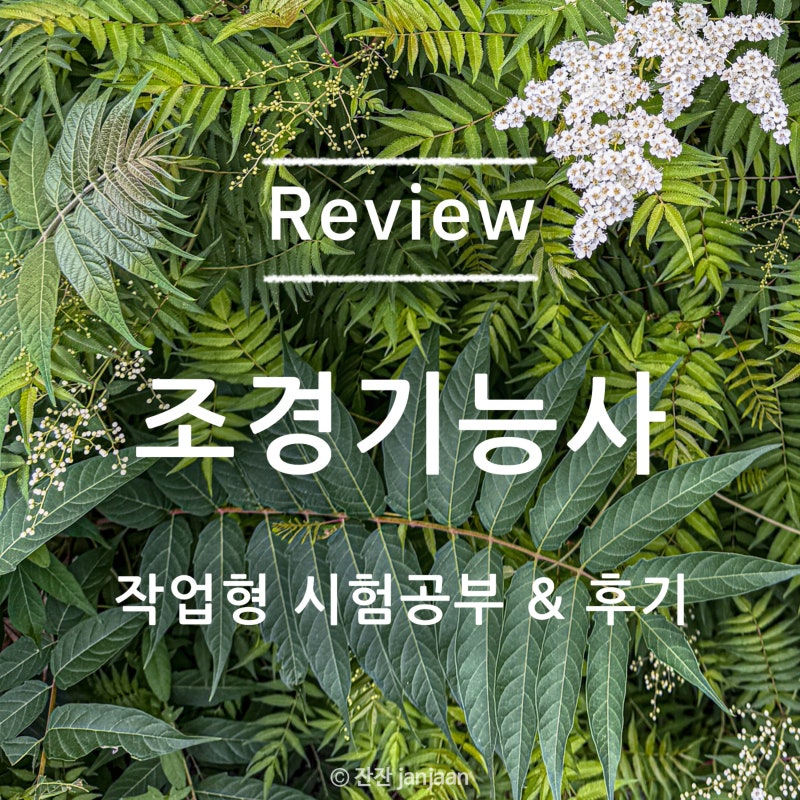 조경기능사 실기시험 합격한 이야기 ② 작업형 | 준비물, 시험 TIP