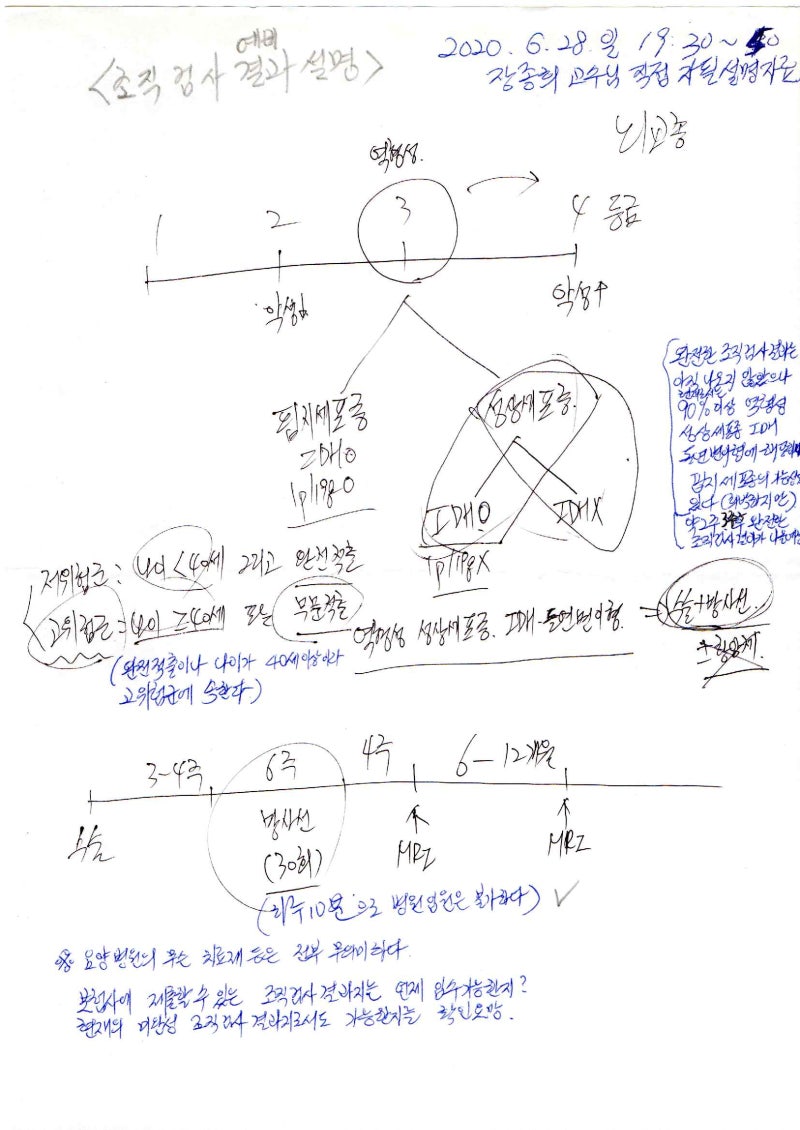 뇌종양(3등급 IDH돌연변이 역형성 성상세포종) 신촌 세브란스병원에서의 대수술(2020년6월20일 ....
