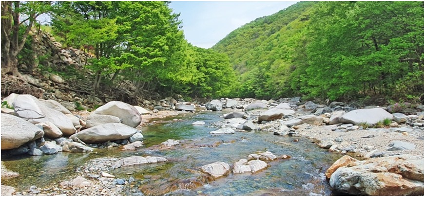 청림오크밸리펜션 사진 3