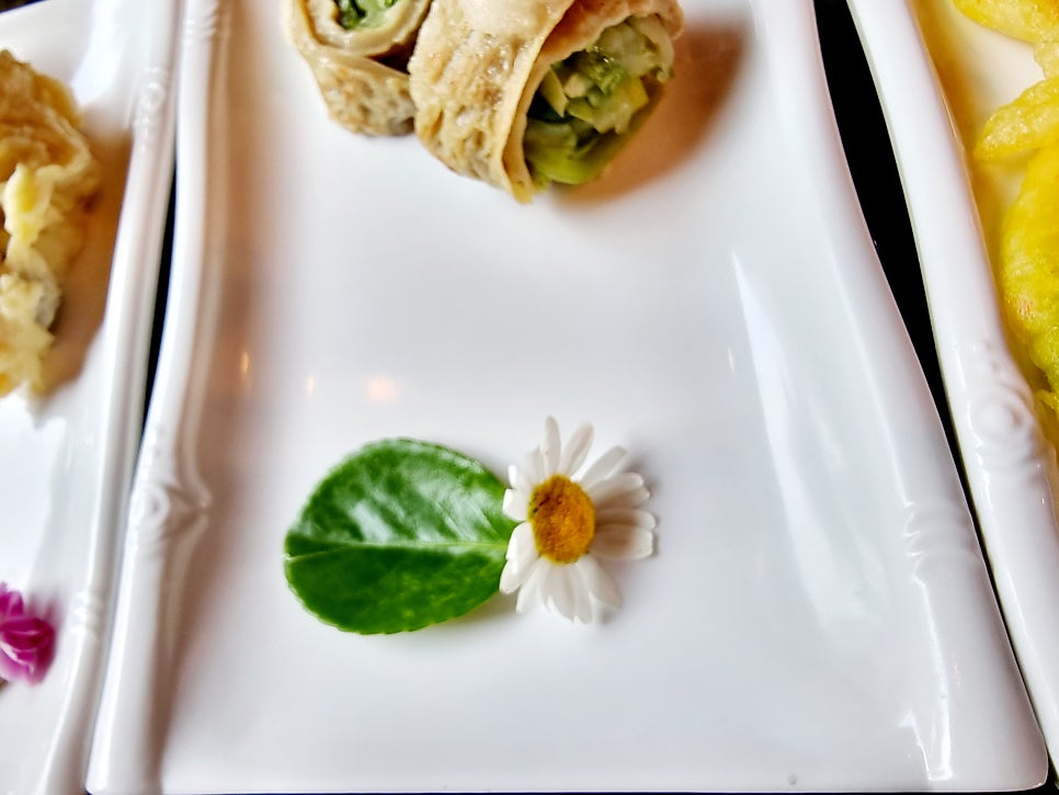 메주꽃 사진 4