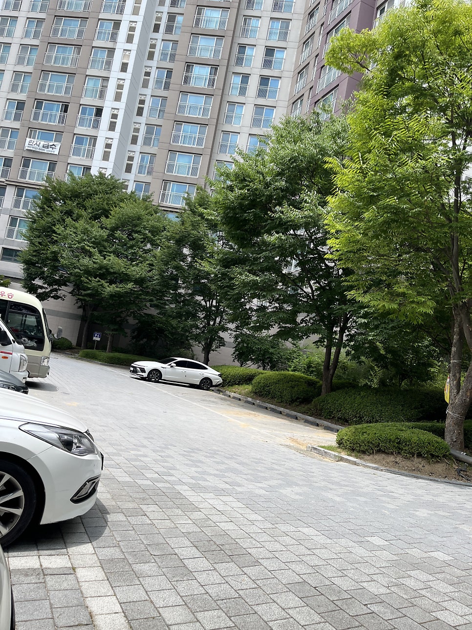 카페한솔 사진 3