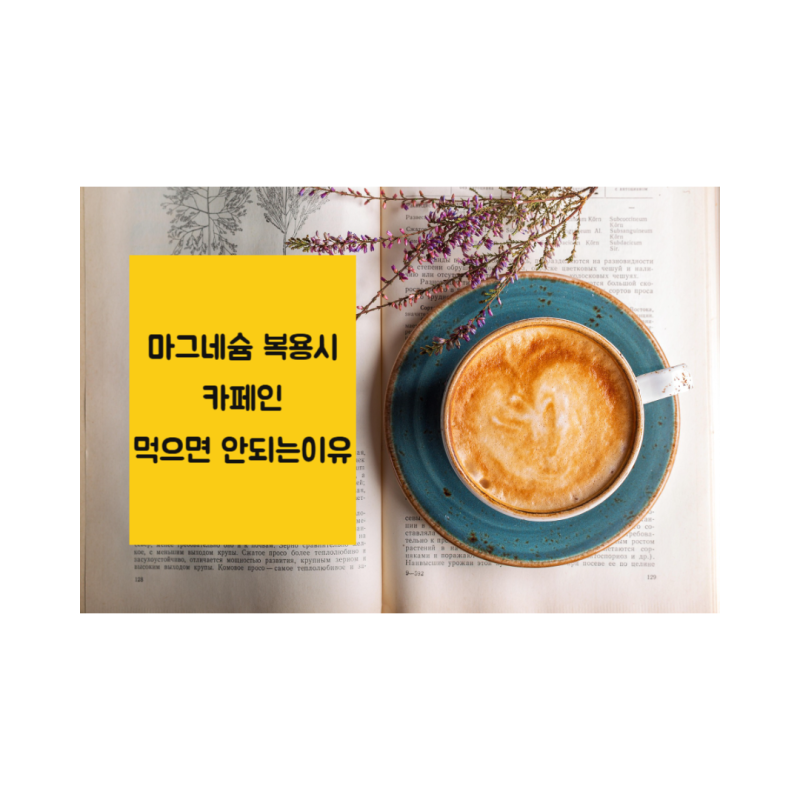 마그네슘 찰떡궁합 칼슘·비타민D 복용법과 카페인 먹으면 안되는 이유