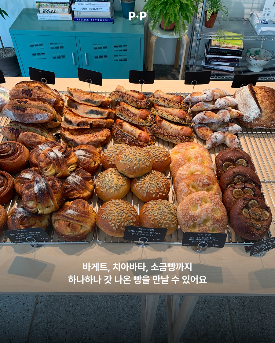 교교 사진 5