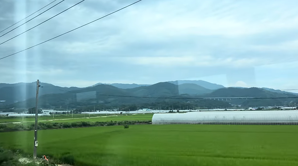 태동반점 사진 3