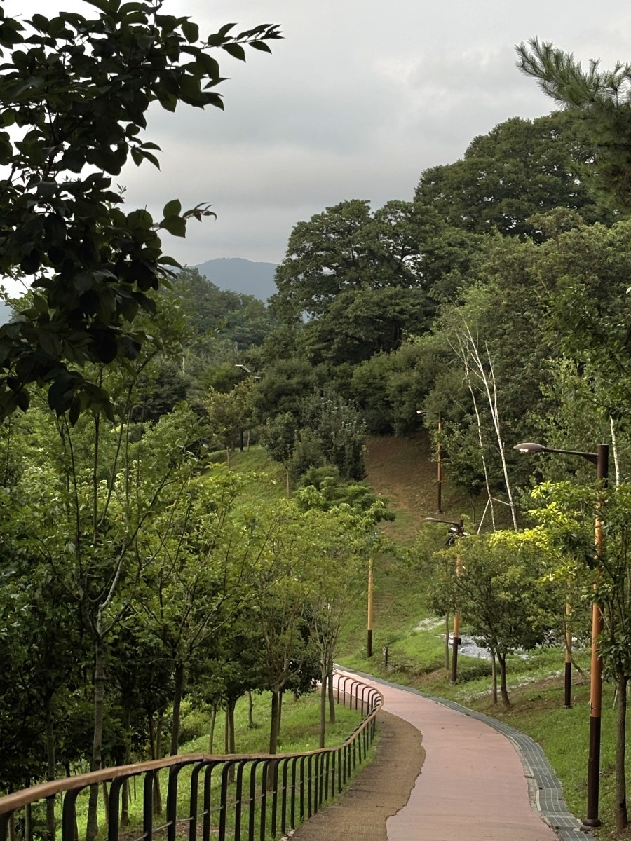 남산 사진 6
