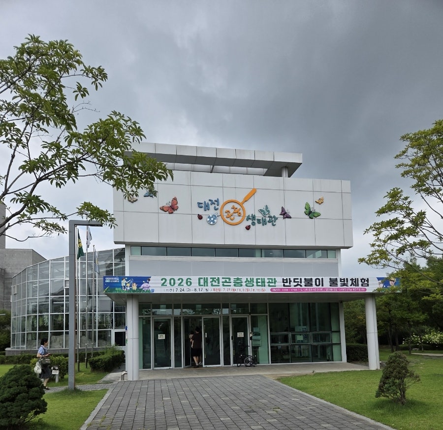 반딧불이 사진 1