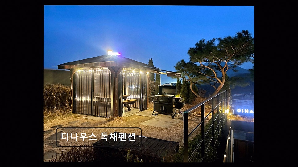디나우스 사진 3