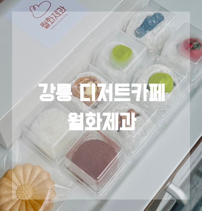강릉 월화거리 디저트 맛집 | 월화제과, 제철 과일 찹쌀떡과 생과일주스가 맛있는 카페