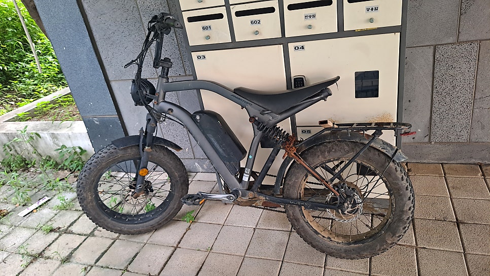 로하스 사진 2