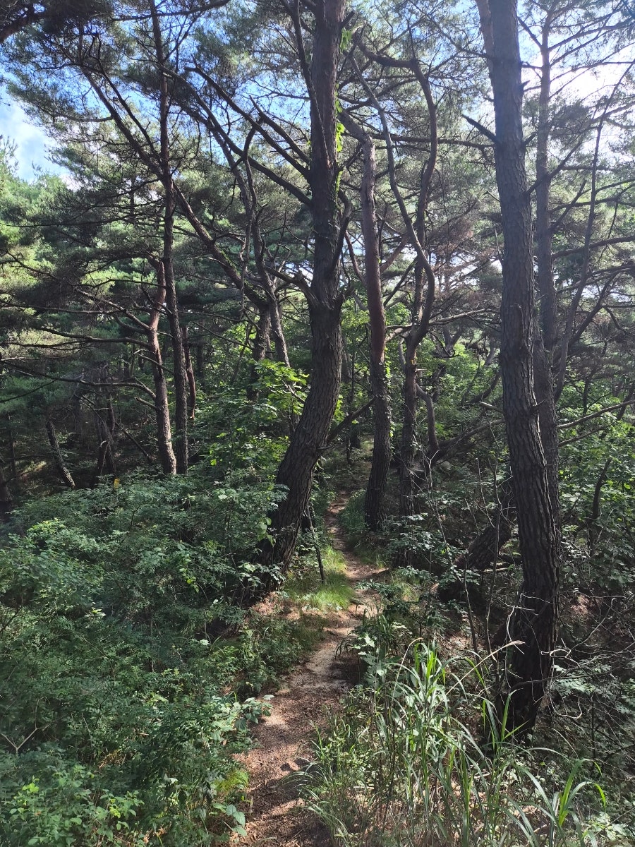 보해산 사진 5