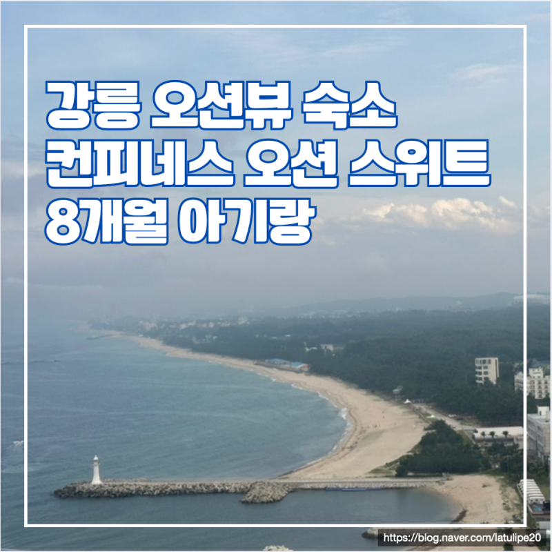 아기랑 강릉 여행｜강릉 가성비 오션뷰 숙소 컨피네스 오션 스위트 2박 3일 후기(주차, 아기....