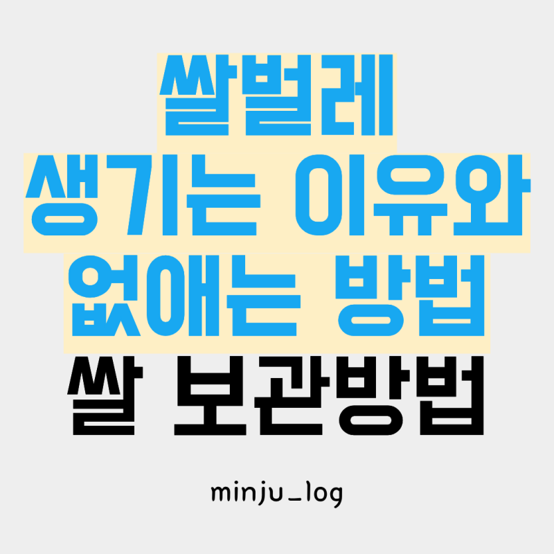 쌀벌레 생기는 이유와 없애는 법, 여름철 쌀 보관 방법 총정리