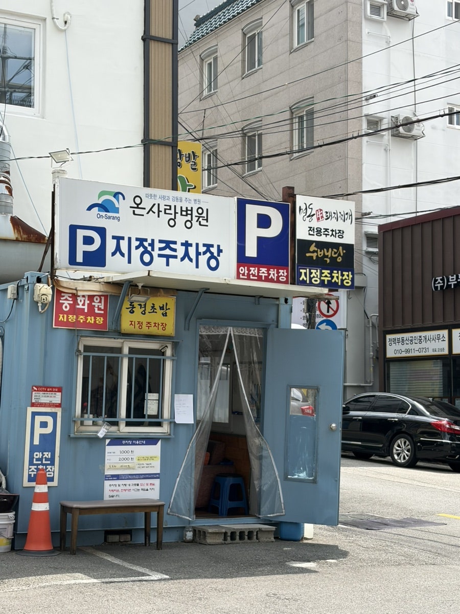 손칼국수 사진 2