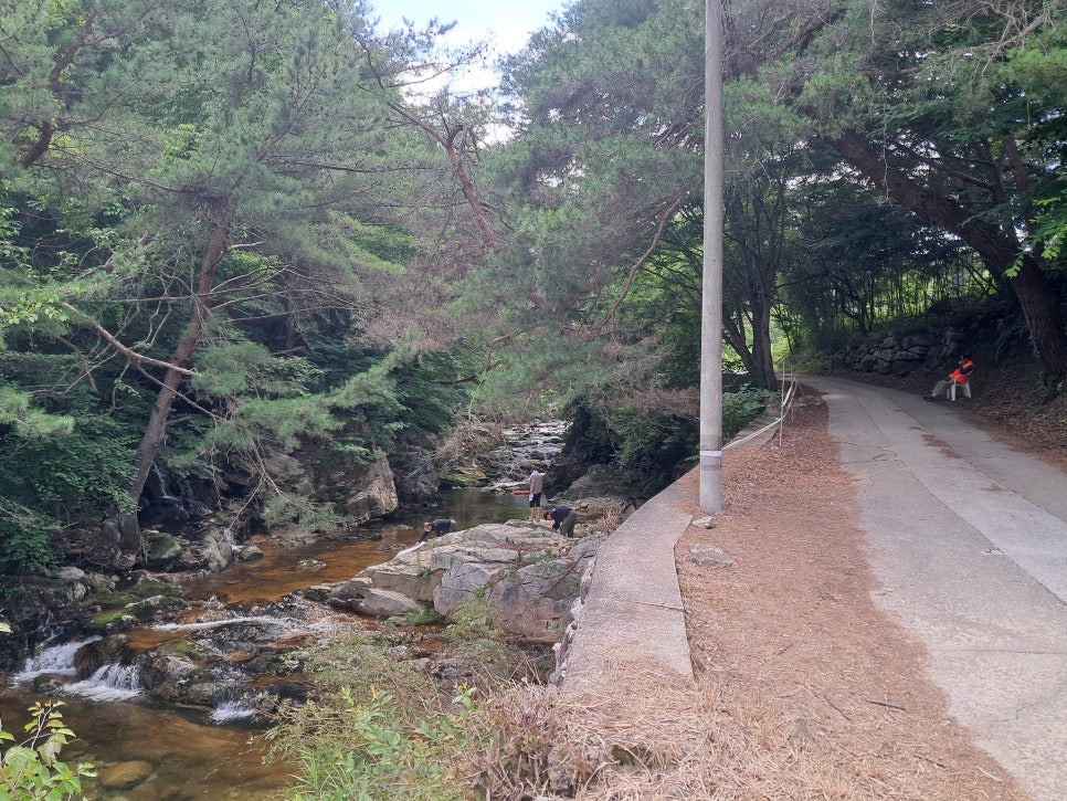 부전계곡 사진 3