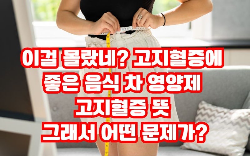 이걸 몰랐네? 고지혈증에 좋은 음식 차 영양제 고지혈증 뜻 그래서 어떤 문제가?