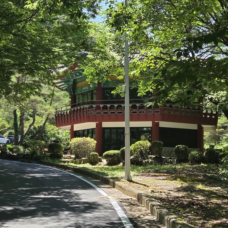 정선껏바이이진리 사진 3