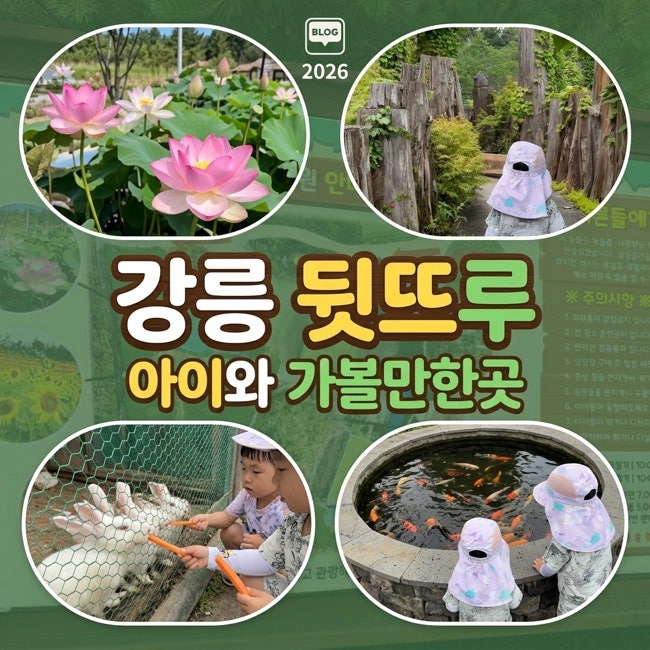 강릉 뒷뜨루 관광농원 아이와 가볼만한곳 동물 먹이주기 체험 카페 솔직후기