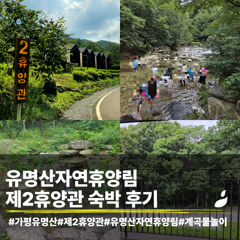 유명산자연휴양림 제2휴양관 후기 | 성수기 예약부터 계곡 물놀이까지 총정리, 장점단점 정....