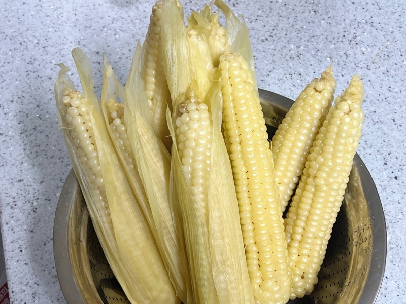 제철 찰옥수수 뉴슈가 없이 삶는법, 찌는법, 보관법