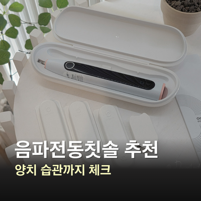 음파전동칫솔 추천 오클린 X Lite, 구석구석 잘 닦일까