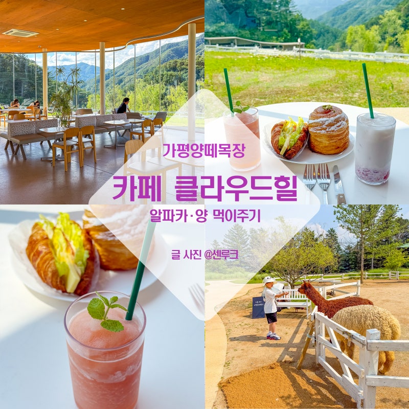 가평 가볼만한곳 가평카페 양떼목장 클라우드힐