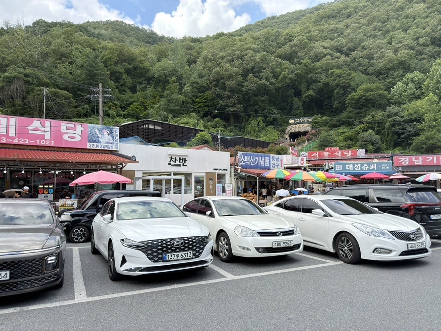 차반 사진 3