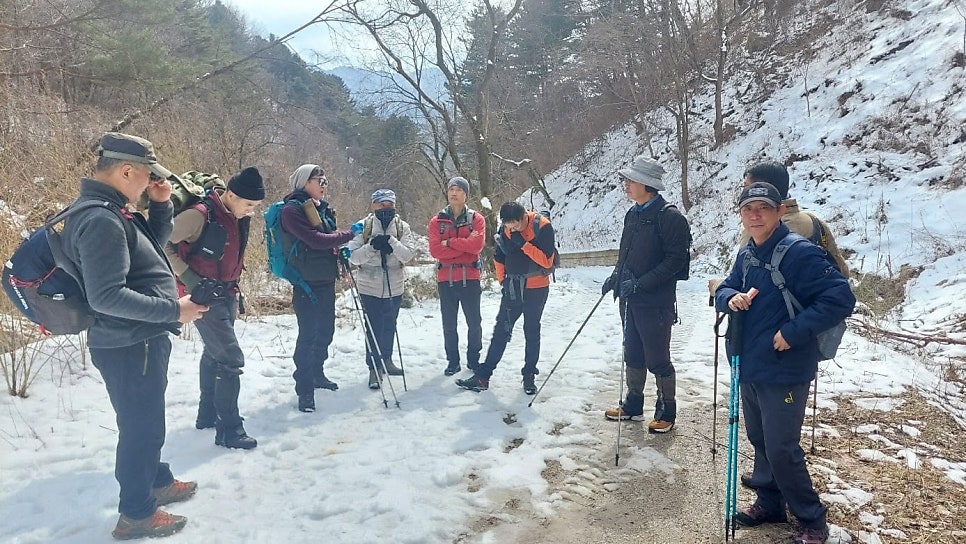 뒷골 사진 3