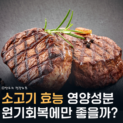 소고기 효능 OO에도 좋다?ㅣ부작용, 영양성분, 칼로리, 먹는법, 다이어트 부위